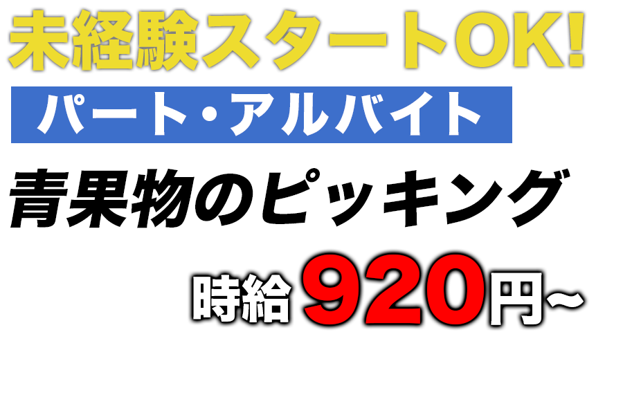 TOPテキスト